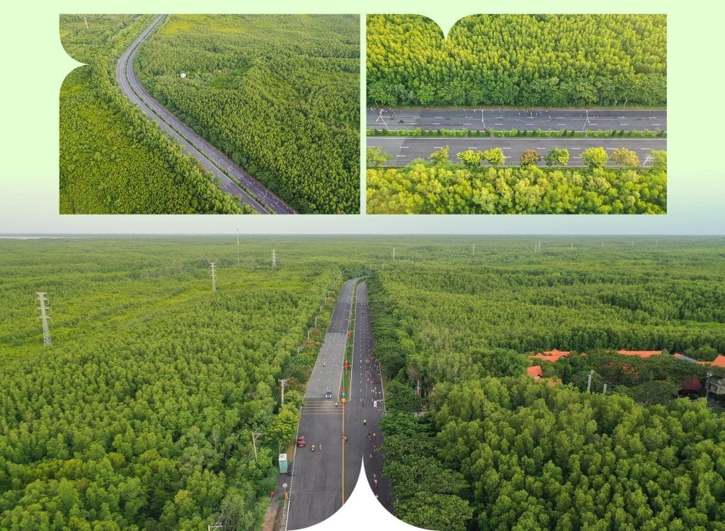 Vinhomes Cần Giờ: Bí mật đằng sau khoản đầu tư 10 tỷ đô khổng lồ 2 Nét xanh và trong lành trên đường đến dự án Cần Giờ