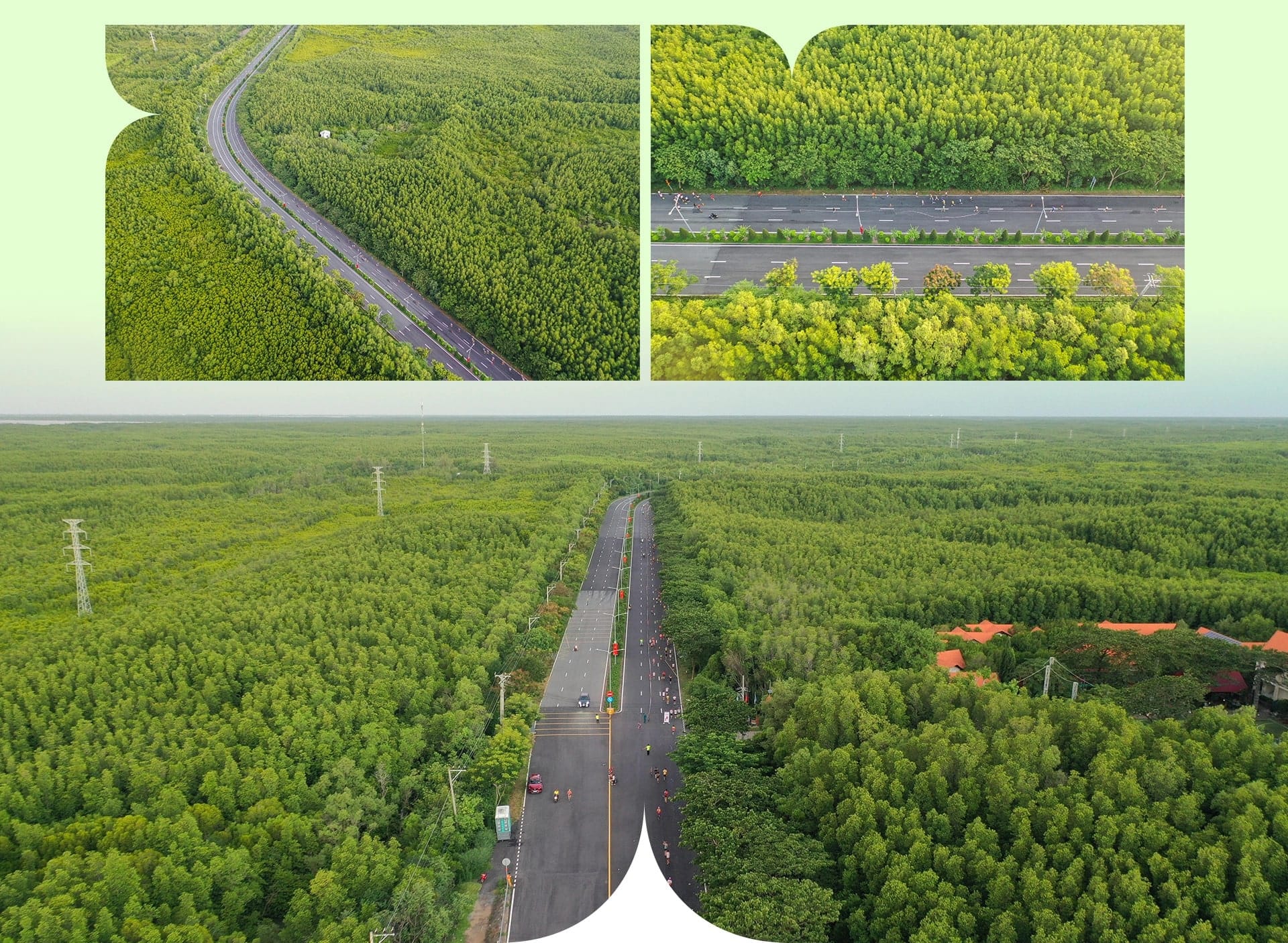 Nét xanh và trong lành trên đường đến dự án Cần Giờ